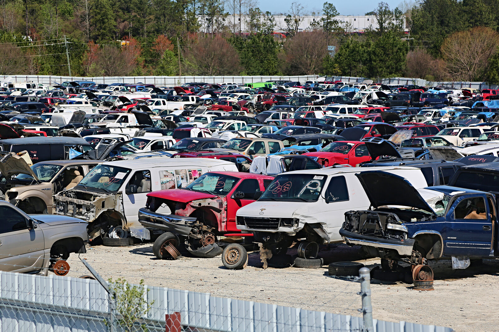 Rows of vehicles in the S&W U-Pull, U-Save yard